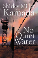 book cover for No Quiet Water
