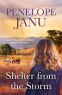 Cover Image: Shelter from the Storm