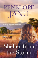 book cover for Shelter from the Storm