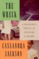 book cover for The Wreck