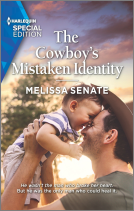 book cover for The Cowboy's Mistaken Identity