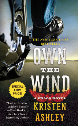 book cover for Own the Wind