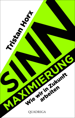 Buchcover für Sinnmaximierung