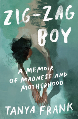 book cover for Zig-Zag Boy