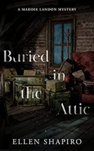 book cover for Buried in the Attic