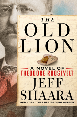 book cover for The Old Lion