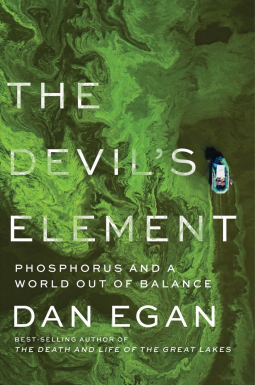 book cover for The Devil's Element