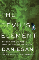 book cover for The Devil's Element