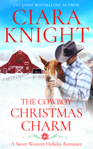 book cover for The Cowboy Christmas Charm