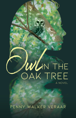book cover for Owl in the Oak Tree