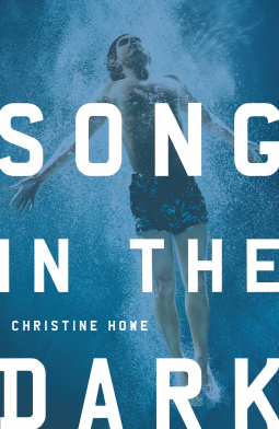book cover for Song in the Dark