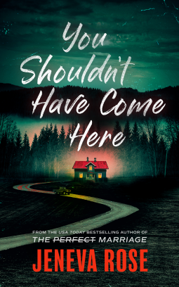 book cover for You Shouldn't Have Come Here
