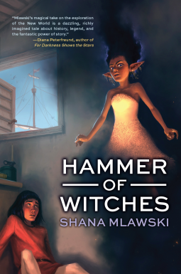 book cover for Hammer of Witches