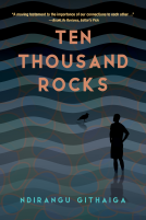 book cover for Ten Thousand Rocks