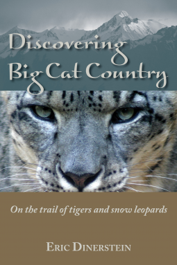 book cover for Discovering Big Cat Country