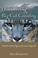 book cover for Discovering Big Cat Country