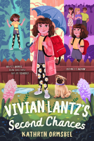 book cover for Vivian Lantz's Second Chances