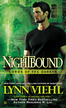 book cover for Nightbound