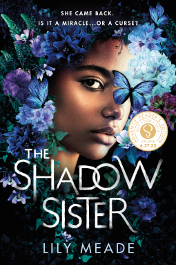 book cover for The Shadow Sister