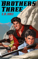 book cover for Brothers Three