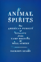 book cover for Animal Spirits