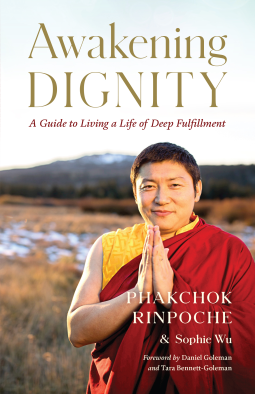 book cover for Awakening Dignity