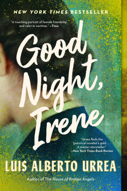 book cover for Good Night, Irene