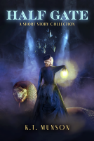 book cover for Half Gate