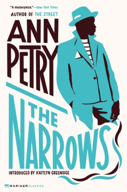 book cover for The Narrows