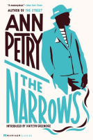 book cover for The Narrows