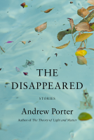 book cover for The Disappeared