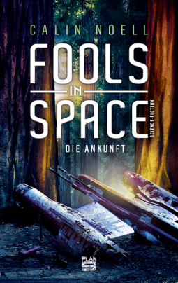 Buchcover für Fools in Space