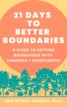 book cover for 21 Days to Better Boundaries