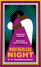 book cover for Brotherless Night