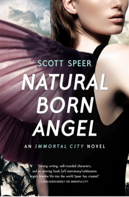 book cover for Natural Born Angel