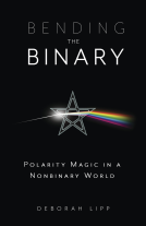 book cover for Bending the Binary