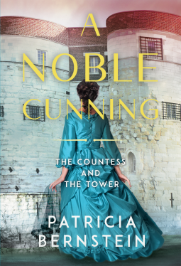 book cover for A Noble Cunning