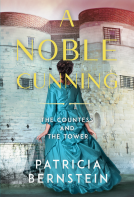 book cover for A Noble Cunning