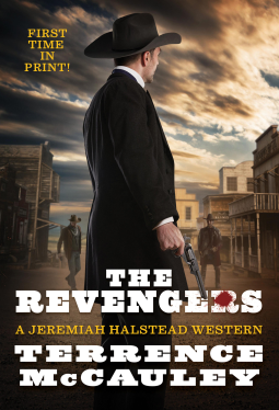 book cover for The Revengers