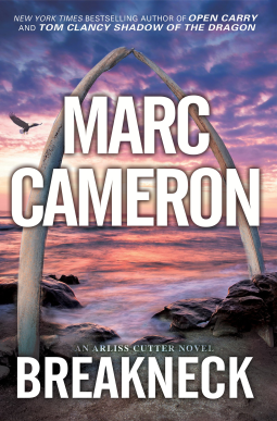 book cover for Breakneck