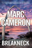 book cover for Breakneck