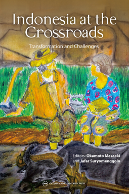 book cover for Indonesia at the Crossroads