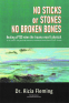 Cover Image: No Sticks or Stones No Broken Bones