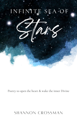 book cover for Infinite Sea of Stars