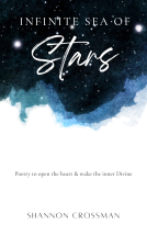 book cover for Infinite Sea of Stars