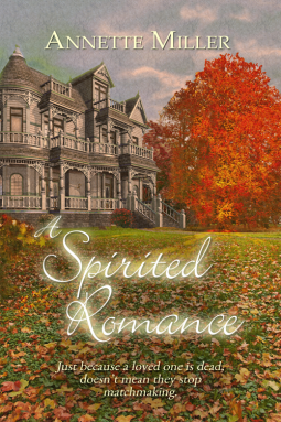book cover for A Spirited Romance