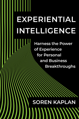 book cover for Experiential Intelligence