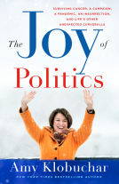 book cover for The Joy of Politics
