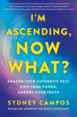 book cover for I'm Ascending, Now What?