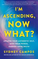 book cover for I'm Ascending, Now What?